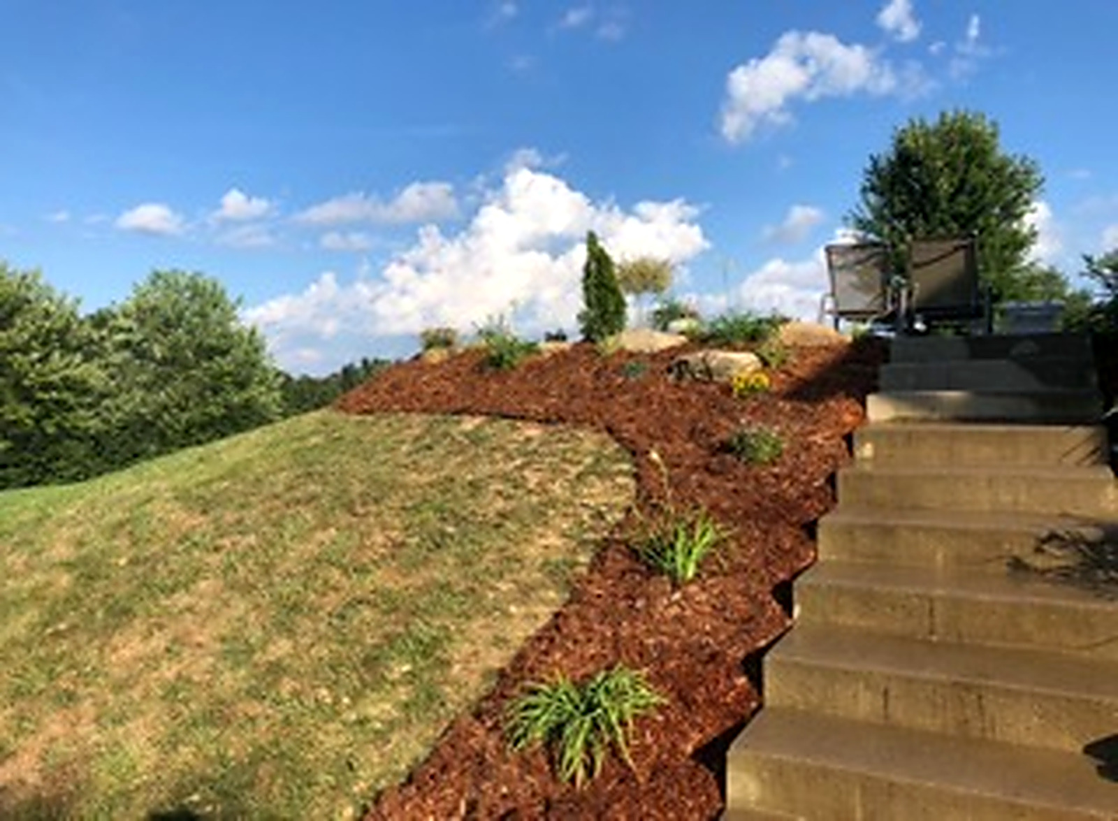 Cleared hillside with new mulch bed and plantings