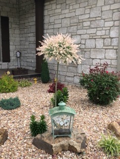 Decorative rock bed with an ornamental tree and lantern accent