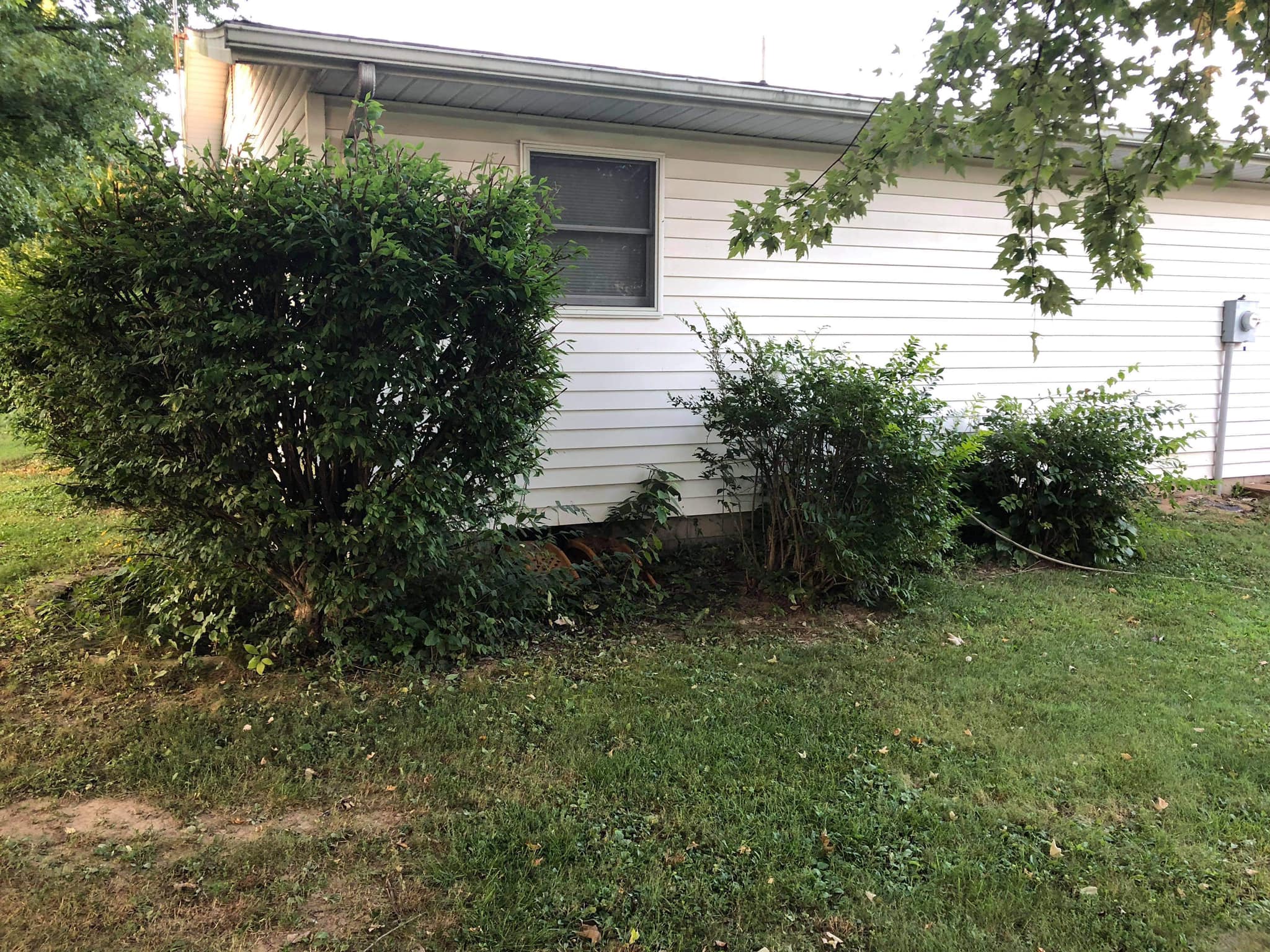 Full front yard rebuild — before