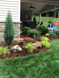 Curved mulch bed with evergreens, boulders and perennials beside a patio